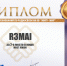 Итоги международных соревнований по радиосвязи на КВ CQ-M «Миру- мир» - Администрация г. Ростов
